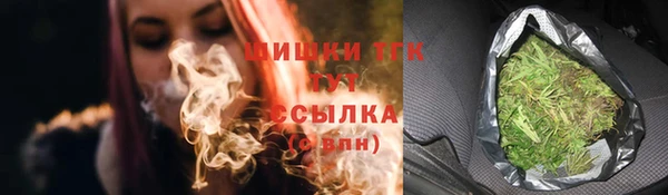 дживик Горнозаводск