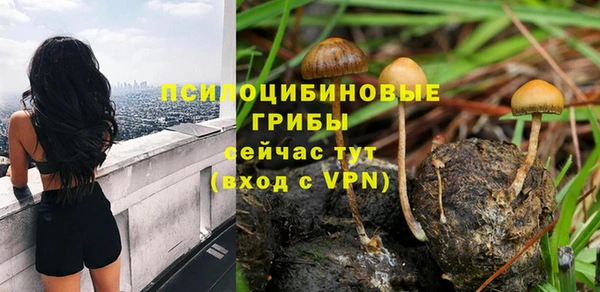 тгк Горно-Алтайск