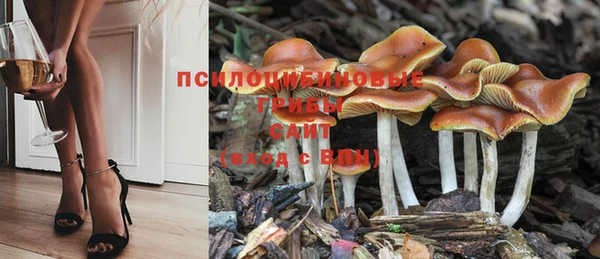 бутик Горняк