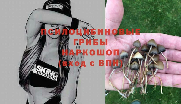 тгк Горно-Алтайск