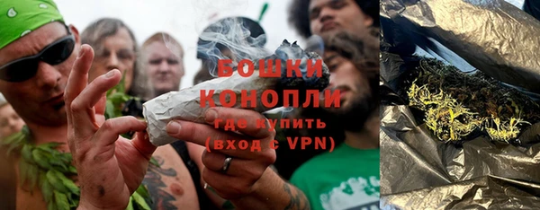 дживик Горнозаводск