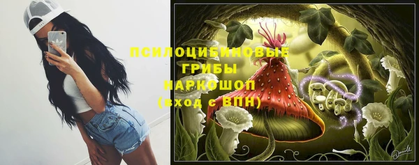 дживик Горнозаводск