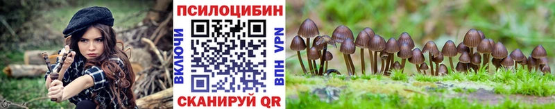 мориарти Telegram  Черногорск  Галлюциногенные грибы Psilocybe 